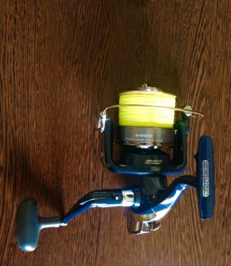 mulineta daiwa emcast 8.JPG