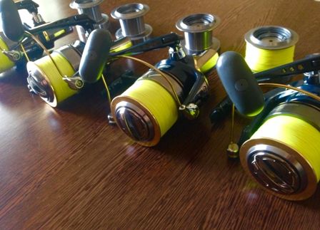 mulineta daiwa emcast 4.JPG