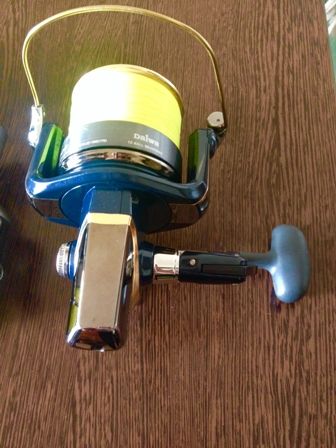 mulineta daiwa emcast 2.JPG