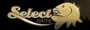 Select Baits Team