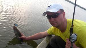 Salau Catch and Release