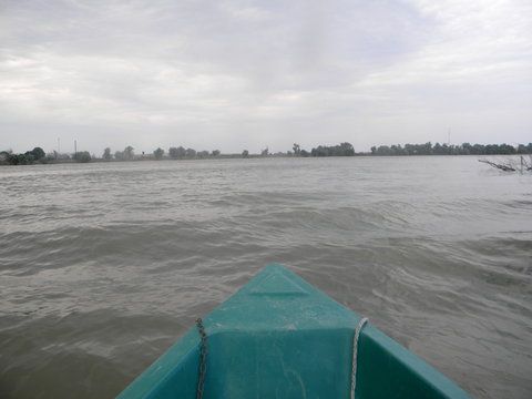 Picture 008.jpg