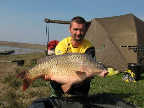 sarulesti carping.jpg