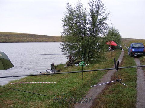 DSCF7667.jpg