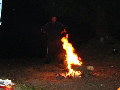 Picture 2380.jpg