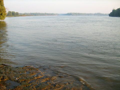 Picture 2416.jpg