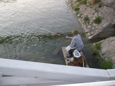 La Tulcea, nelipsiti din peisajul portului : pensionarii pescuind la obleti