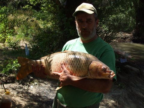 Unul de vreo 12 kg