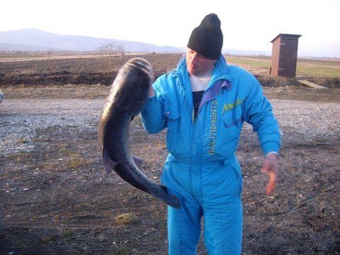 IMG_2999 (600 x 450).jpg (66.06 KiB) Vizualizat de 3250 ori IMG_2999 (600 x 450).jpg