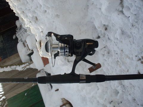 SDC10479.JPG