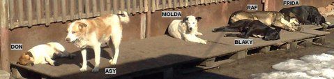 6 paznici la odihna !
