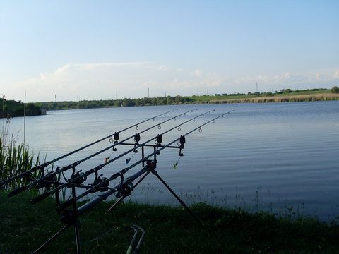 SL370452.JPG