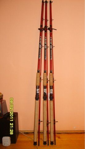 S8303224.JPG
