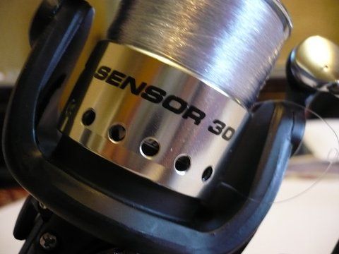 poza Winner SENSOR