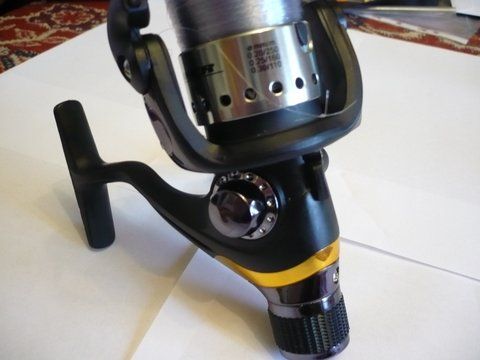 poza Winner SENSOR