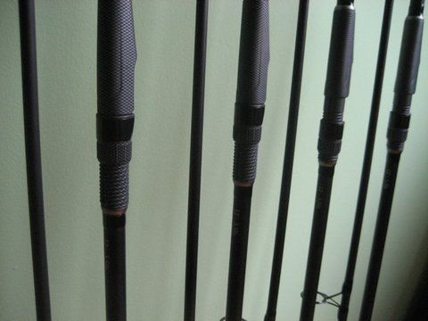 CormoranES 003.jpg