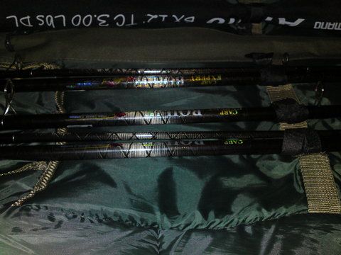 Carp Expert Boile