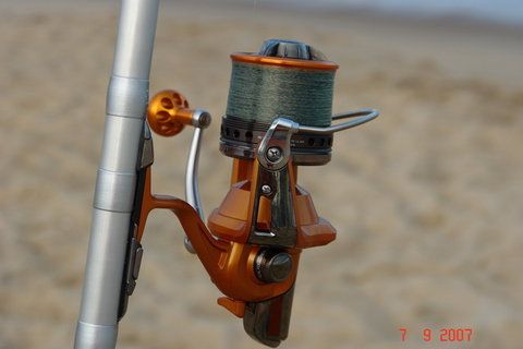 daiwa_basia_qd1.jpg