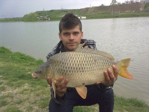 4,6 kg la feeder