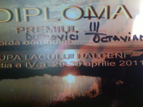 diploma