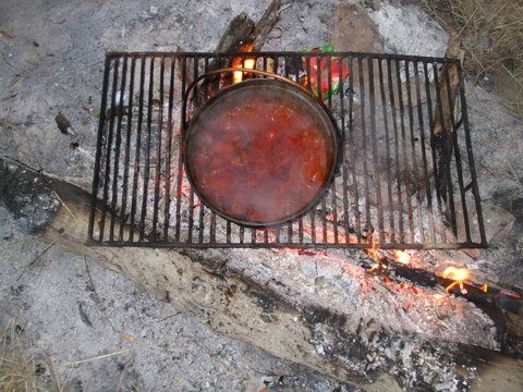 plachie ... mmm ... ceapa multa calita ... crap prajit ... inecat in bulionul clocotind ... asta e reteta mea, de-ti bati copiii cu basca uda