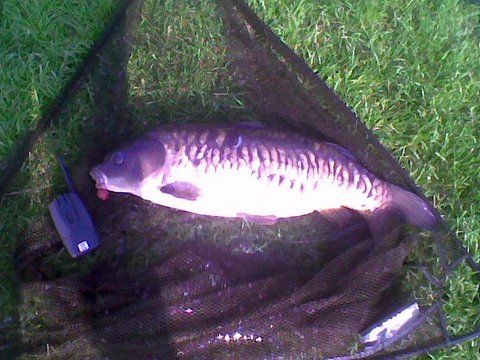 Image043.jpg