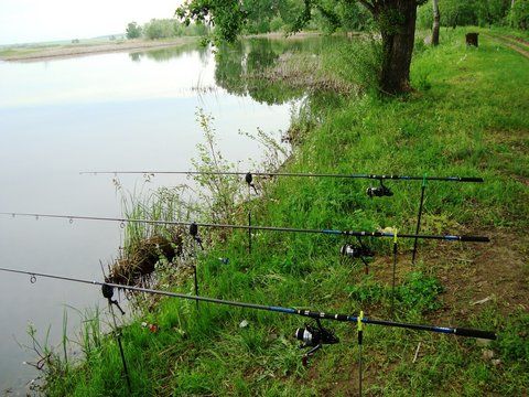 lansete2.jpg