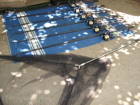 DSC07156.JPG