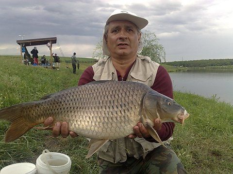 25062011503.jpg