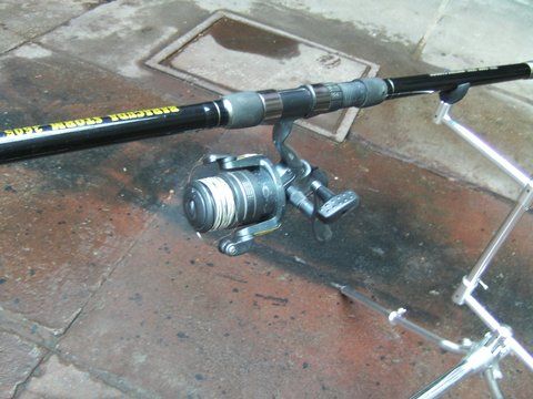 BILD1449.JPG