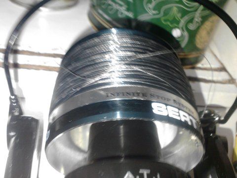 P071111_19.02_[01].jpg