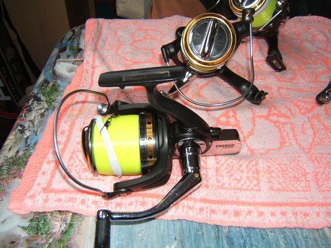 DSCF2787.JPG