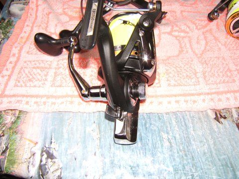 DSCF2788.JPG