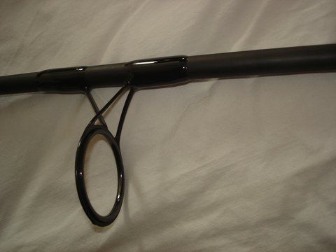 009.JPG