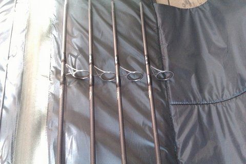 IMAG0083.jpg