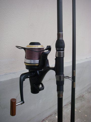 IMGP4159.JPG