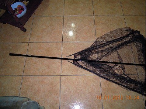 DSCN100888.jpg