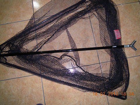 DSCN100777.jpg