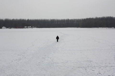 IMG_1214.JPG