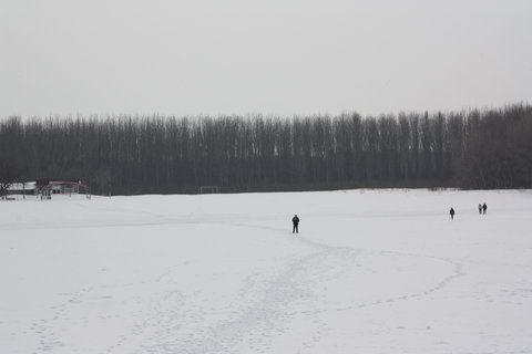 IMG_1228.JPG