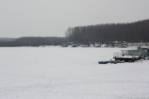 IMG_1234.JPG