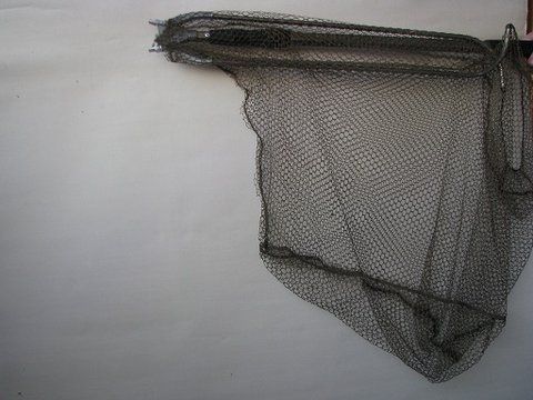IMG_0873.jpg