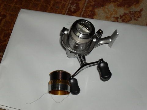 SDC11280.JPG
