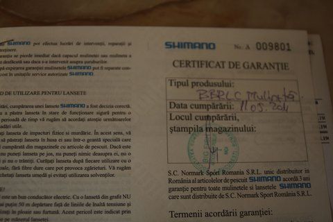 Poza 6
