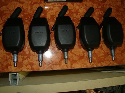 DSC07502.JPG