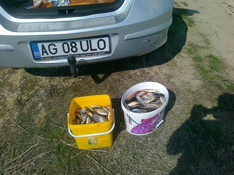 22032012252.jpg