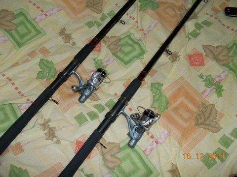 Foto3.jpg