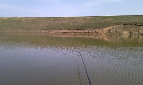 IMAG0026.jpg