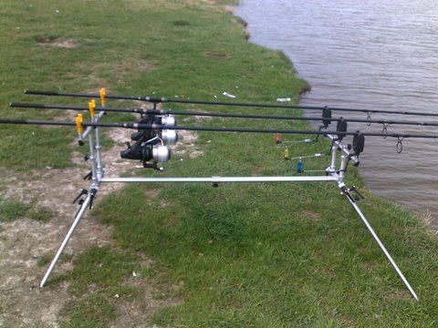 POZE CU ACELASI ROD-POD DAR CU PATRU POSTURI