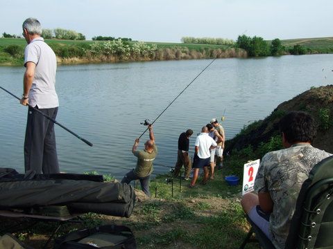 DSCF1701.JPG